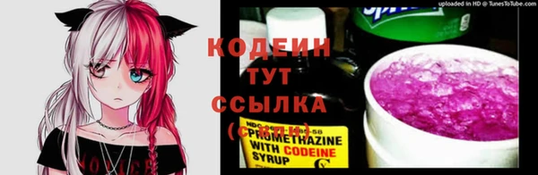 a pvp Белокуриха
