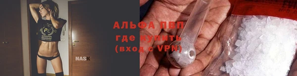 гашик Беломорск