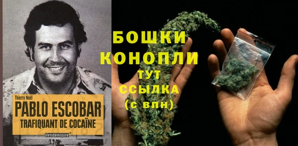 a pvp Белокуриха