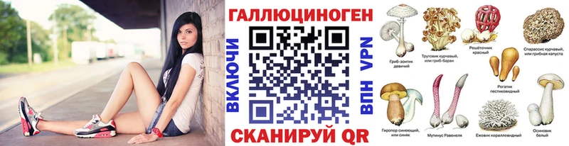 Псилоцибиновые грибы Cubensis  Череповец 